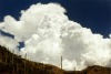 Cumulus Clouds in Catalina Mountains