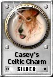 Casey's Celtic Charm Silver Award